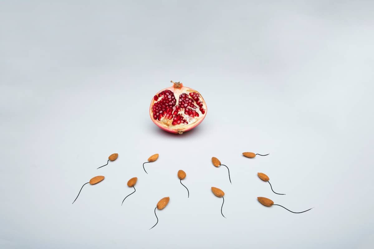 what is iui image. half of a pomegranate cut side facing out, below are almonds with tails "swimming" towards it